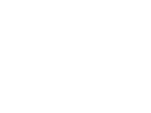 zanier